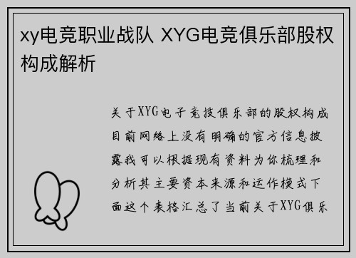 xy电竞职业战队 XYG电竞俱乐部股权构成解析